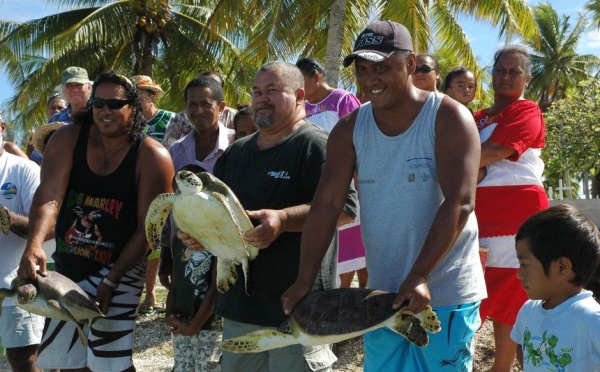 A Fakarava, la population veut s'impliquer dans la protection des tortues