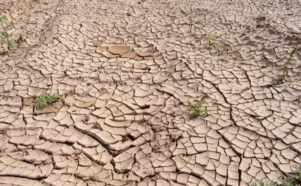 2015-2018: période la plus chaude depuis le début des relevés météo