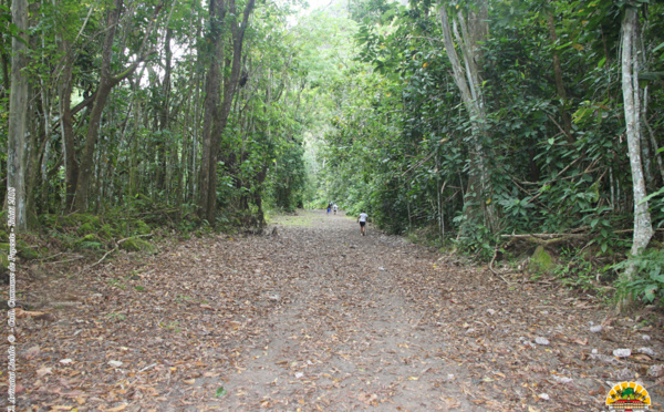 La vallée de la Fautaua de nouveau fermée