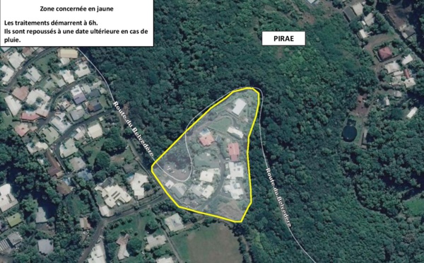 Dengue 2 : pulvérisations sur la route du Belvédère à Pirae