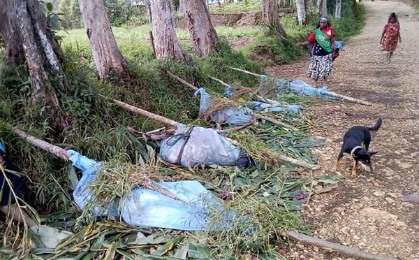 Au moins 24 morts dans des affrontements tribaux en Papouasie-Nouvelle Guinée