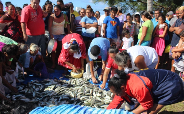   Distribution gratuite d'une pêche miraculeuse de ature à Tautira