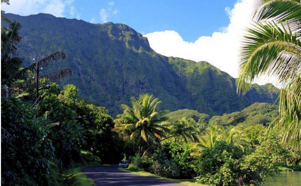 Ivre et sans casque, un jeune homme de 23 ans se tue en scooter à Raiatea