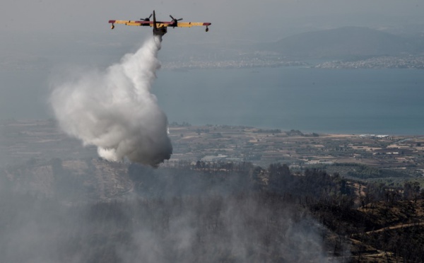 "Catastrophe écologique" sur l'île grecque d'Eubée ravagée par les flammes