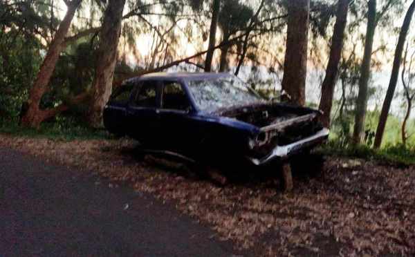 Opération spectaculaire pour enlever une carcasse au Belvédère 