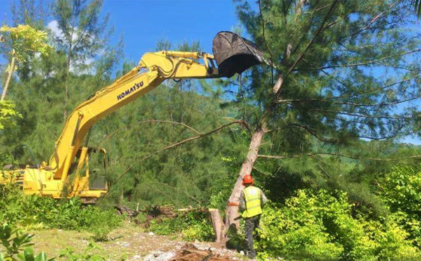 ​Révocation entérinée pour l’ex-patron de l’Equipement à Moorea