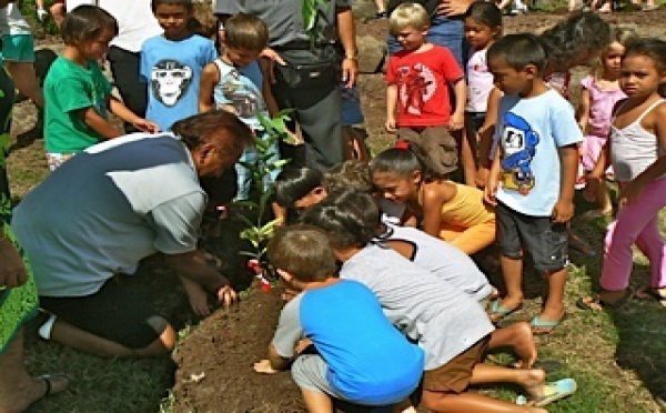 Mise en place d’un jardin-parc culturel à Pao Pao