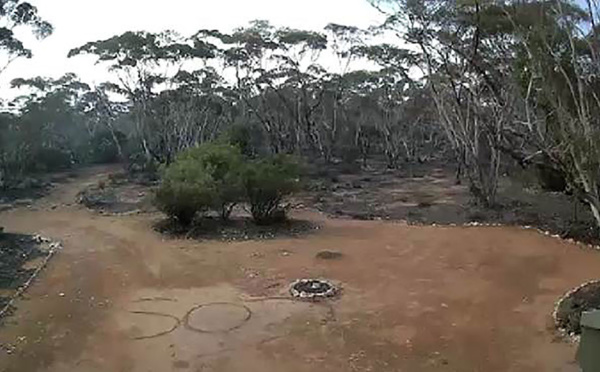 Une Australienne perdue dans le bush sauvée par un "SOS" écrit dans la terre