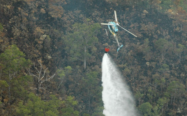 Près de 10.000 hectares brûlés en Nouvelle-Calédonie en un mois et demi