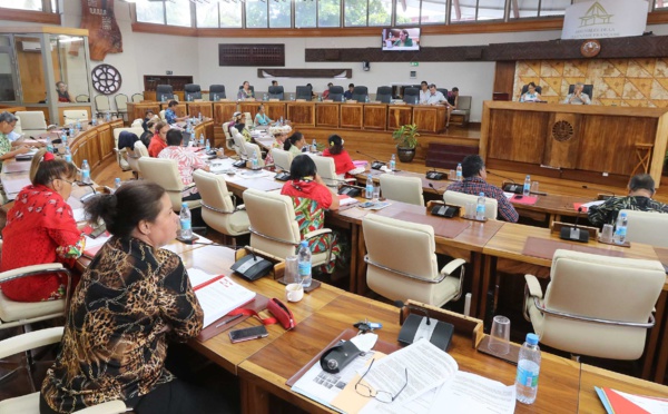 L'assemblée allège le contrôle des marchés publics