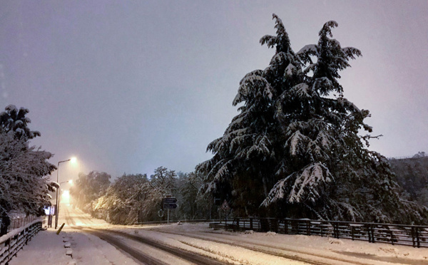 La neige abondante perturbe circulation et réseau électrique en Rhône-Alpes