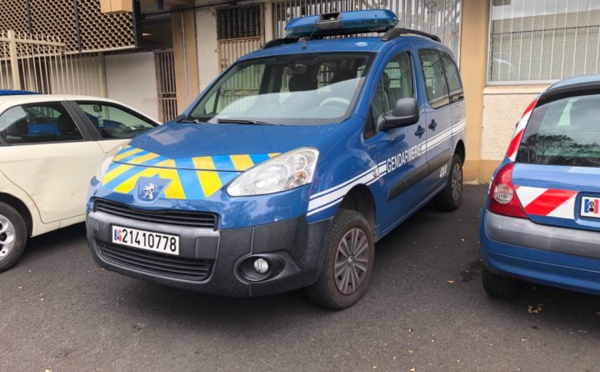 1,7 kilo d’ice saisi dans des manches de rames de paddle