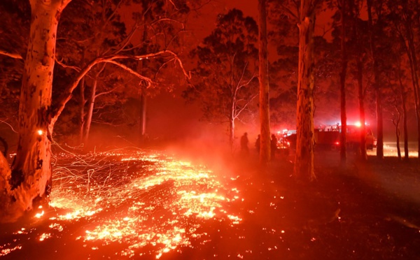 Incendies en Australie: des milliers de personnes dormiront sur des plages