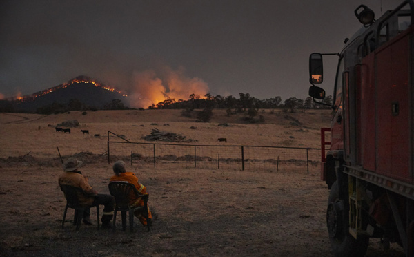 Australie: la pluie est tombée sur les feux, faisant le bonheur des pompiers et des fermiers