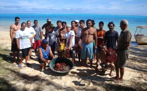 Tubuai se mobilise pour son lagon