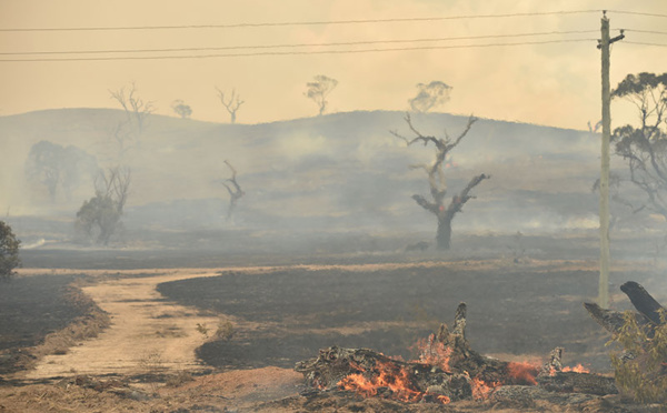 Les incendies en Australie ont détruit 20% des forêts