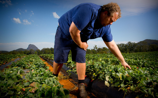 Coronavirus: en Australie, les agriculteurs inquiets de la fermeture des frontières