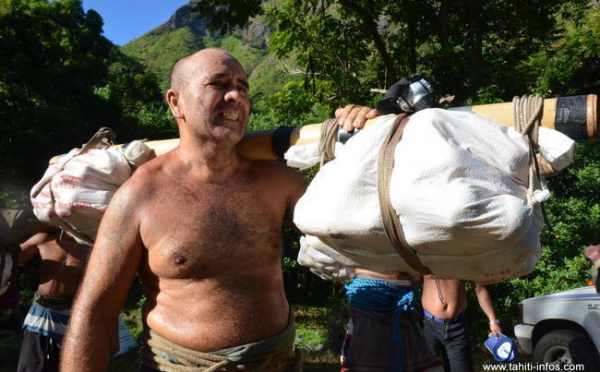 Oranges de la Punaruu : la saison est ouverte