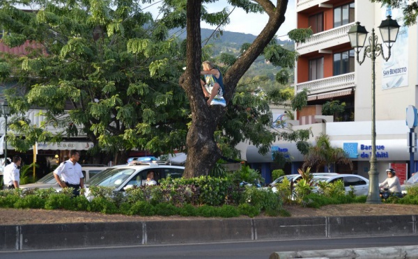 Papeete : un SDF menace de se jeter d'un arbre