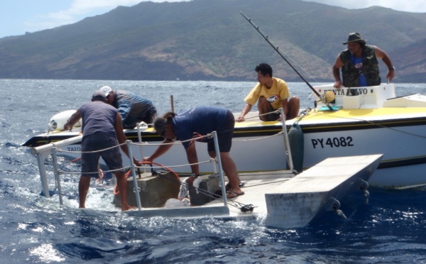 Pêche : le 500ème  Dispositifs de Concentration de Poissons a été ancré