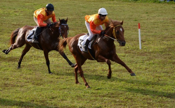 Dimanche, reprise du pari mutuel à l'hippodrome