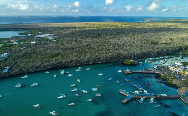 S'adapter pour survivre: science et tourisme sur les pas de Darwin aux Galapagos