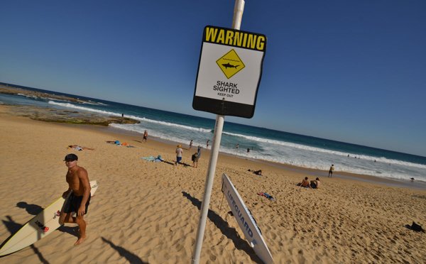 Australie: un surfeur tué par un requin