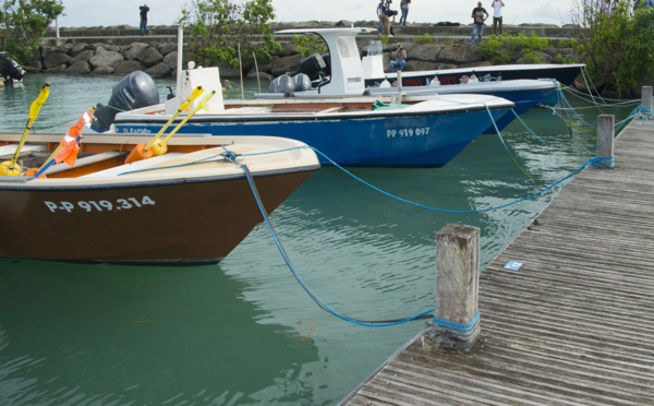 En Guadeloupe, finie la pêche au lambi, pour préserver la ressource