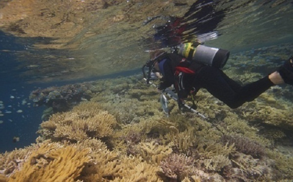 La Global Reef expedition fait escale aux Gambier