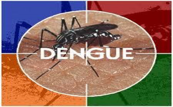 Dengue: le risque d'épidémie s'accroît