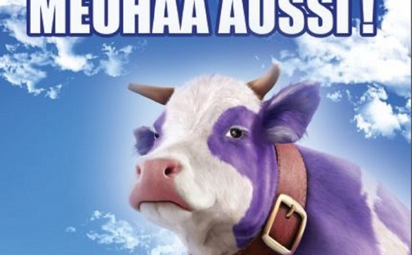 Insolite : la vache Milka fait sourire la campagne