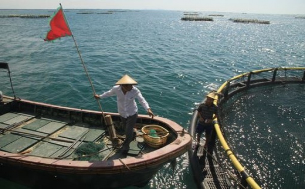 Chine : Tearii Alpha aux fermes aquacoles de Hainan