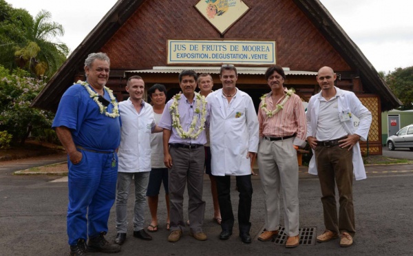 Le Ministre de l’Agriculture à Moorea : encourager la production locale