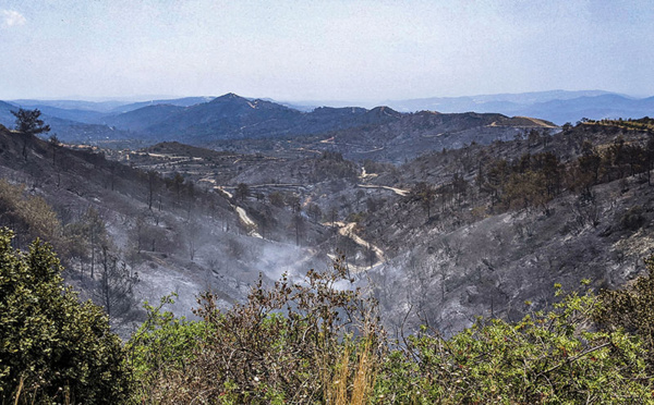 Le pire incendie à Chypre maîtrisé après deux jours de lutte contre les flammes