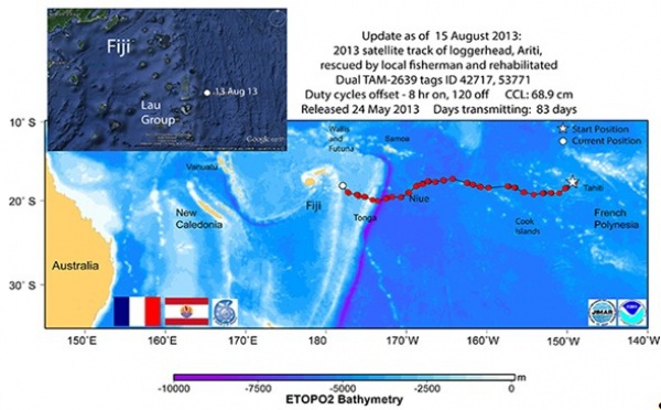 La tortue Ariti est arrivée aux îles Fidji