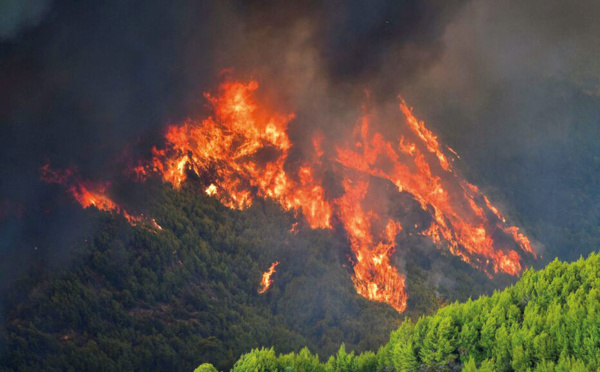 Des villages entourés par les flammes sur l'île d'Eubée