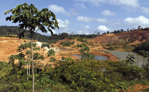 Guyane: l'avenir incertain de l'usine aurifère d'Auplata inquiète fournisseurs et élus