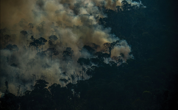 L'Amazonie vacille près du point de non-retour