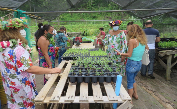 Ecole en santé : Moorea inspire Punaauia