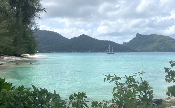 Les galères portugaises de retour à Huahine