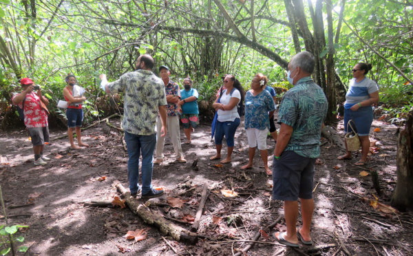 Moorea : un tour de l'île pour valoriser les zones humides