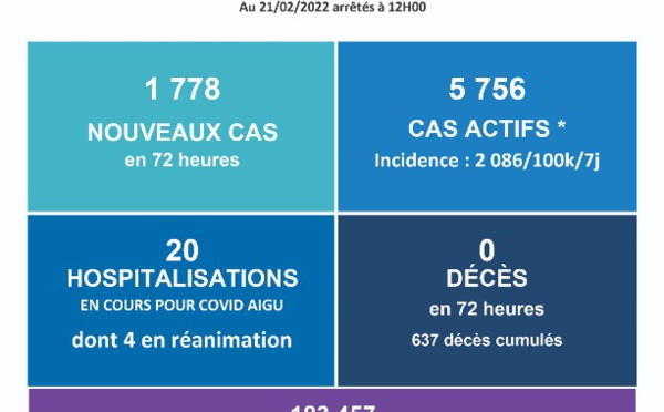 Covid-19. Stabilisation de la situation épidémique