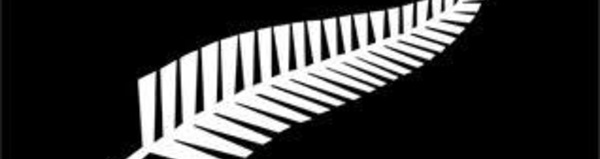 La Nouvelle-Zélande pourrait adopter la fougère des All Blacks sur son drapeau