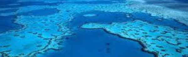 L'Australie défend des progrès "substantiels" dans la protection de la Grande barrière de corail