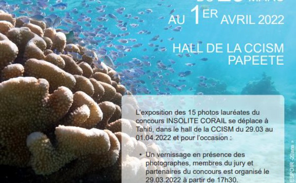 L’exposition Insolite Corail invitée à Tahiti