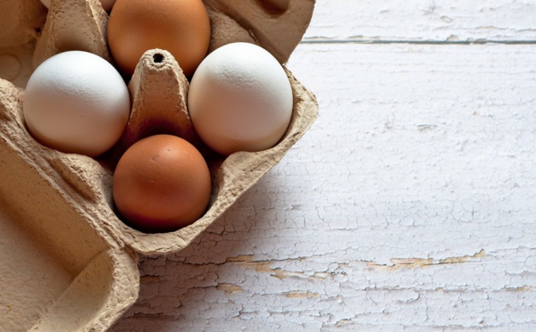 USA: le prix des œufs proche des records, propulsé par la grippe aviaire