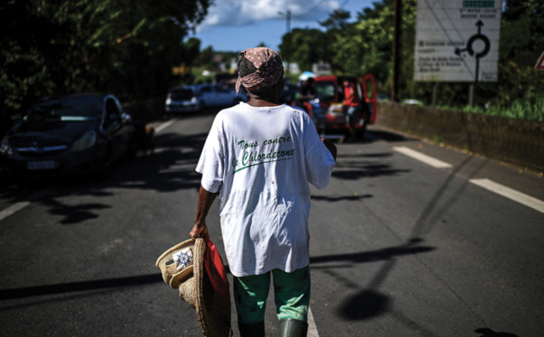 Chlordécone aux Antilles: fin des investigations, vers un non-lieu