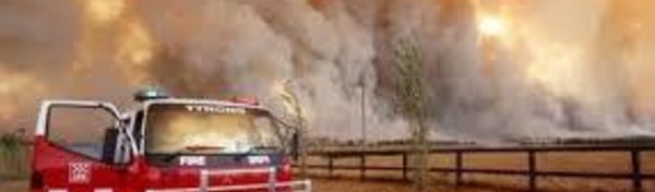 Chaleurs extrêmes et feux de forêts vont croître en Australie