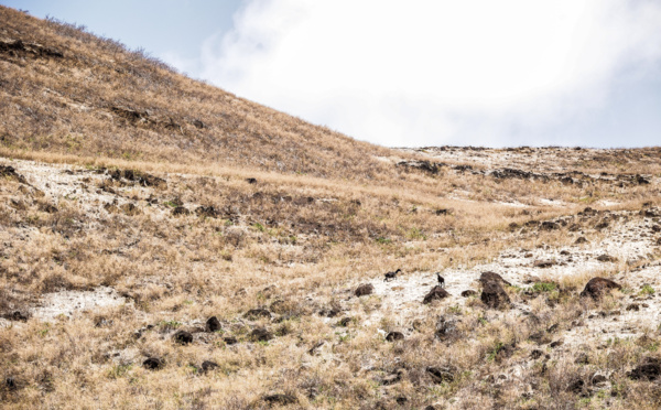 La Terre aride des Hommes