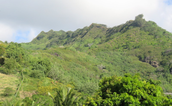 Un randonneur américain retrouvé mort à Moorea